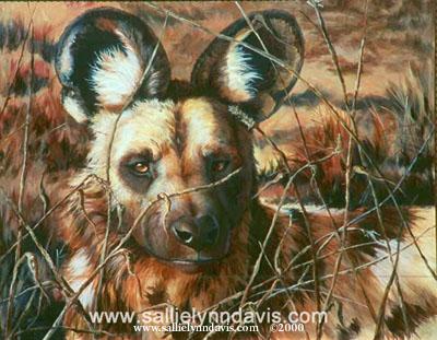 Davis, Sallie Lynn